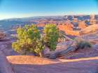 USA-Utah Dead Horse Point State Park-sunrise view of the canyon below Art Print